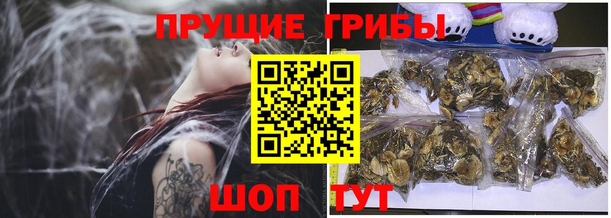 Галлюциногенные грибы MAGIC MUSHROOMS  Галлюциногенные грибы GOLDEN TEACHER  Трёхгорный  Вход с VPN 