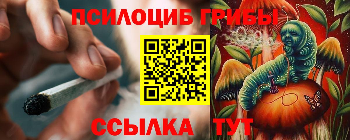 Галлюциногенные грибы Psilocybe Трёхгорный
