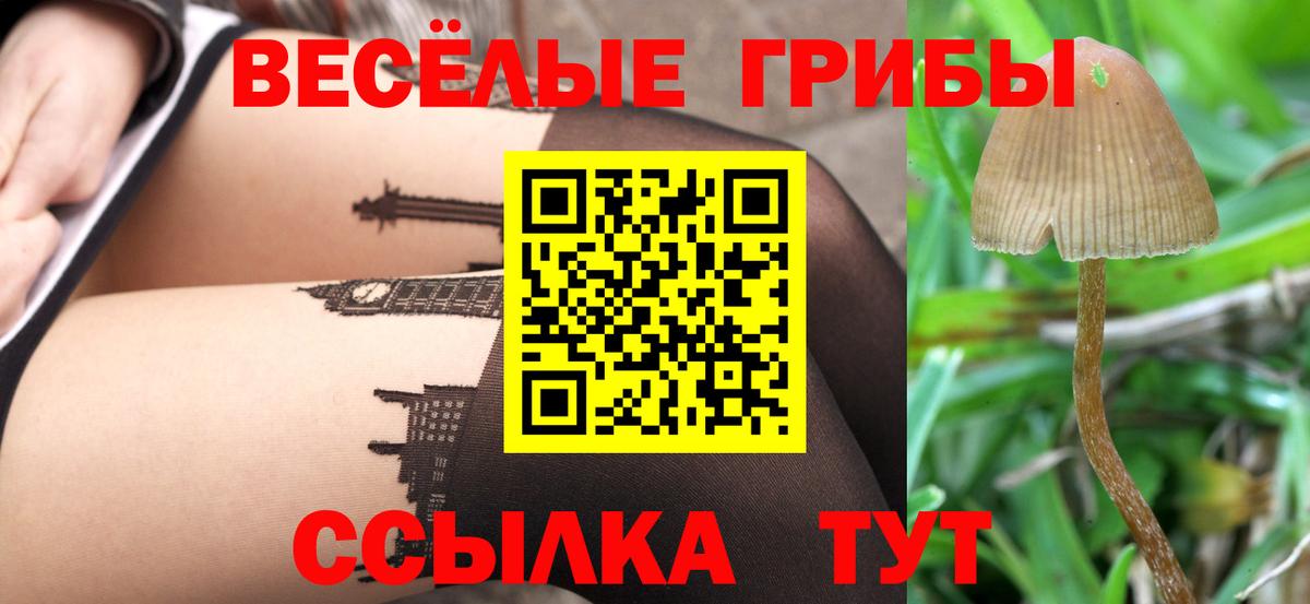 Гашиш  Экстази  Меф МЯУ МЯУ кристаллы  Конопля  Cocaine  Трёхгорный  ГАШ  Вход с VPN 